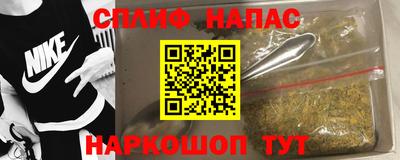 гидра Кандалакша