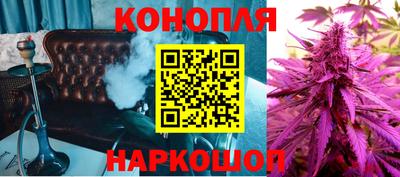 дживик Камышлов