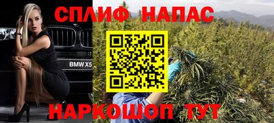 гидра Кандалакша